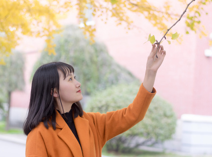 第二十一届中国—东盟博览会已签约超百个重大项目