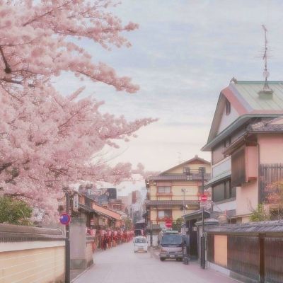 日本的大学女性教师和女学生人数创新高