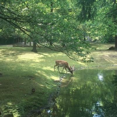 75年来，首都北京经济社会发展成绩斐然——地区生产总值迈上4万亿元新台阶