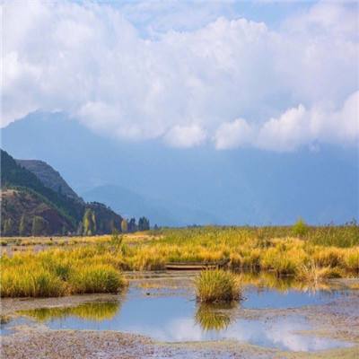 新闻透视:老港变身工业旅游基地 再添文旅新亮点