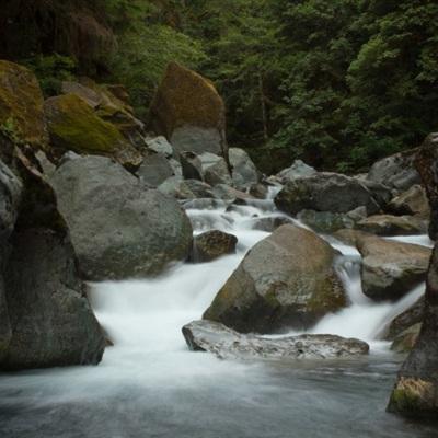 俄外交部：俄罗斯愿意促进德涅斯特河沿岸地区冲突双方进行对话