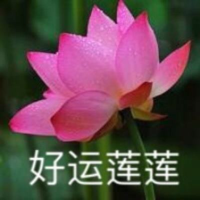 上海的“高参”再次相聚，深意何在